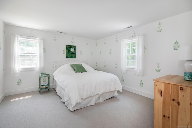 59 Davids Hill Rd, Woodbury, CT 06798 - bedroom with multiple windows and light colored carpet