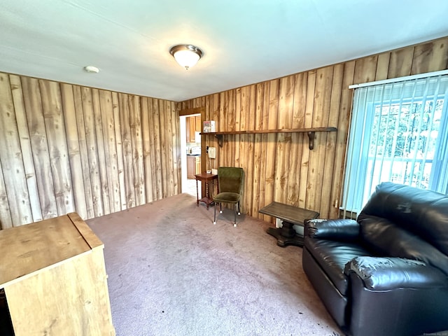 11 Abbe Rd, East Windsor, CT 06088 - sitting room featuring wooden walls and carpet flooring