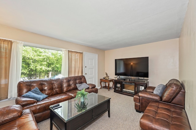 69 Ponham St, Waterbury, CT 06708 - view of carpeted living room