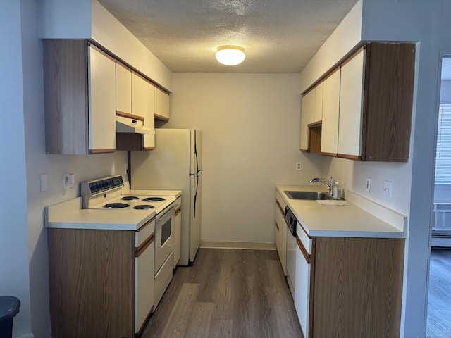5 Fales St Apt 101, Hartford, CT 06105 - kitchen featuring a sink, white appliances, dark wood finished floors, under cabinet range hood, and light countertops