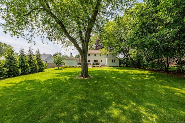 100 Grandview St, Manchester, CT 06040 - view of yard