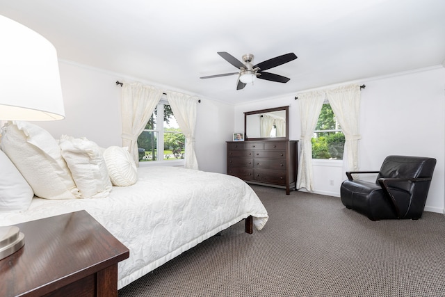 100 Grandview St, Manchester, CT 06040 - bedroom featuring carpet floors, ornamental molding, ceiling fan, and baseboards