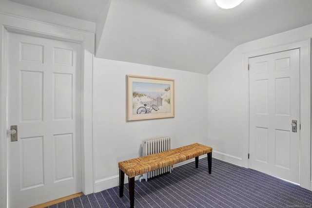 185 Lovers Ln, Fairfield, CT 06824 - living area with radiator heating unit, dark carpet, and vaulted ceiling