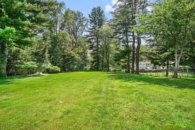 185 Lovers Ln, Fairfield, CT 06824 - view of yard
