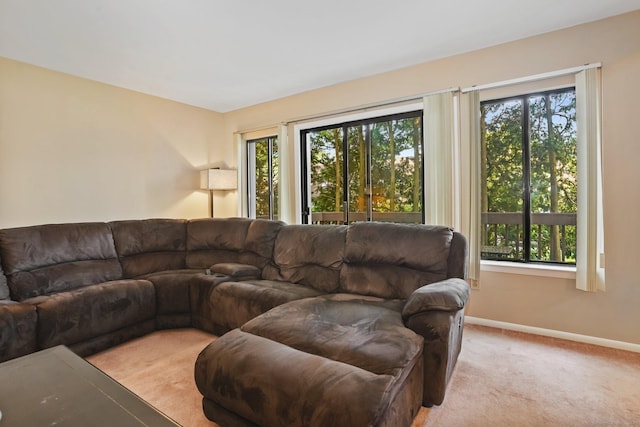 2437 Bedford St Unit E5, Stamford, CT 06905 - living room featuring healthy amount of natural light, baseboards, and light colored carpet