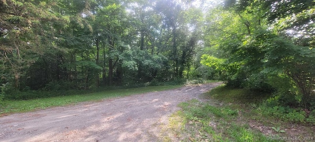 Wheeler Rd, Litchfield, CT 06759 - photo 4