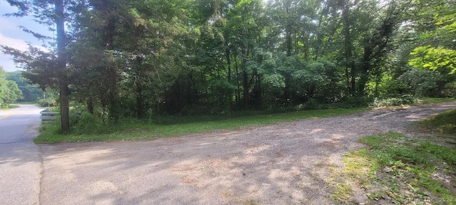 Wheeler Rd, Litchfield, CT 06759 - photo 5