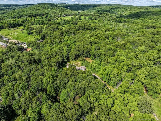 aerial overview of property's location with a heavily wooded area