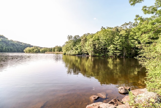 water view featuring a forest