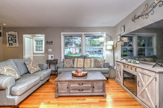 39 Jackson Dr Unit 39, Milford, CT 06460 - living room with light wood-style floors