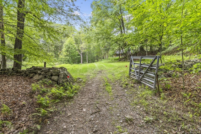 319 Nonnewaug Rd, Bethlehem, CT 06751 - photo 6