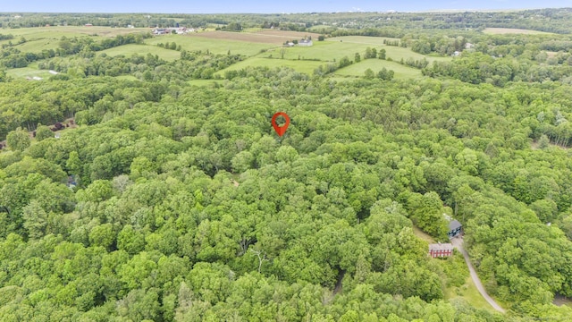 319 Nonnewaug Rd, Bethlehem, CT 06751 - photo 39