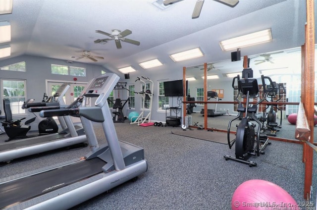 136 Carriage Crossing Ln Unit 136, Middletown, CT 06457 - gym with ceiling fan and lofted ceiling