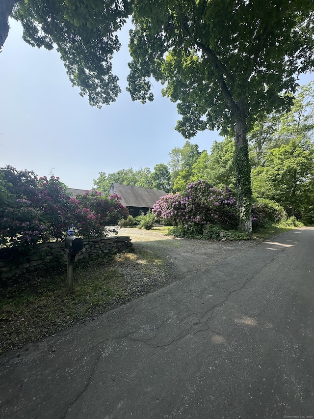 115 Morgan Rd, Salem, CT 06420 - view of yard