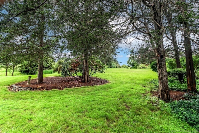 192 Heritage Vlg Unit A, Southbury, CT 06488 - view of grassy yard