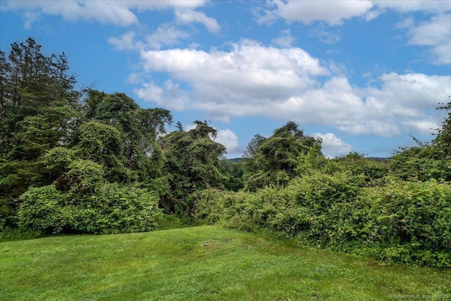 192 Heritage Vlg Unit A, Southbury, CT 06488 - view of grassy yard with a view of trees