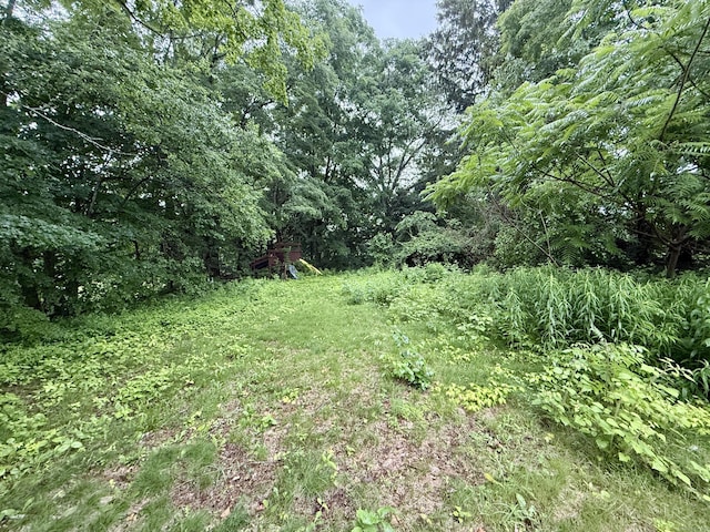 37 Thorpe Ave, Meriden, CT 06450 - view of yard with a forest view