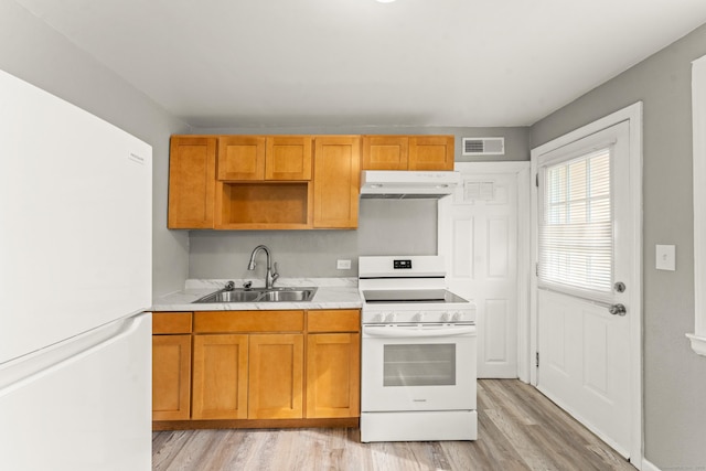 101 Cannon Rd, East Hartford, CT 06108 - kitchen featuring white appliances, a sink, ventilation hood, light countertops, and light wood-style floors