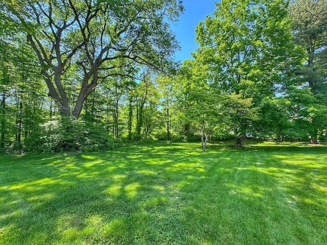 17 Currituck Rd, Newtown, CT 06470 - view of green lawn