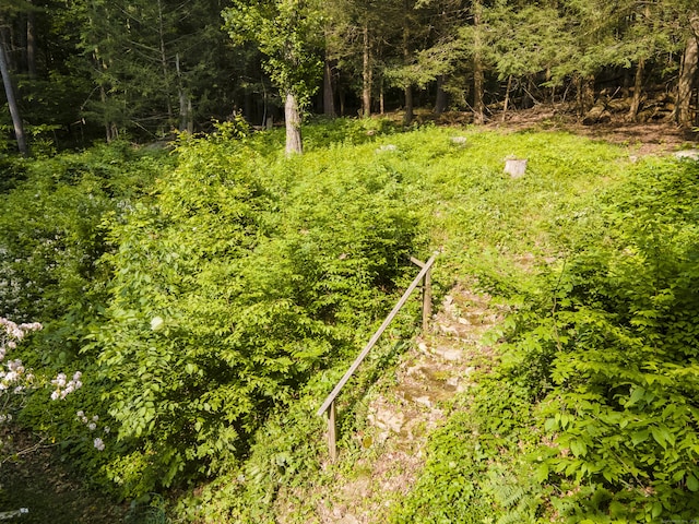 28 Oak Dr, Woodstock, CT 06282 - view of yard with a view of trees