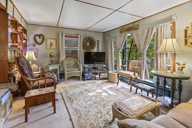 28 Oak Dr, Woodstock, CT 06282 - living room featuring healthy amount of natural light and carpet floors