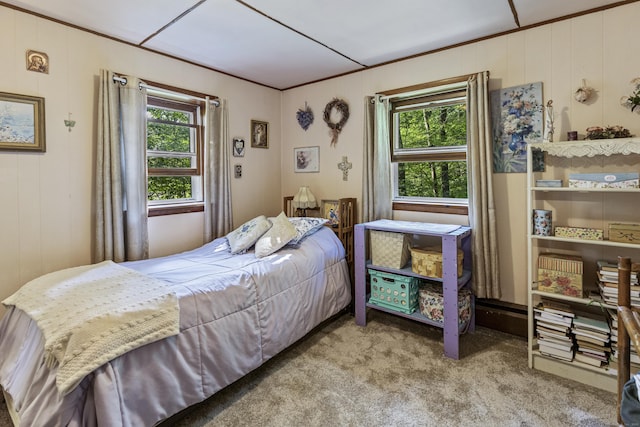 28 Oak Dr, Woodstock, CT 06282 - bedroom featuring multiple windows and carpet flooring