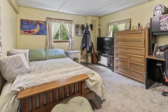 28 Oak Dr, Woodstock, CT 06282 - view of carpeted bedroom