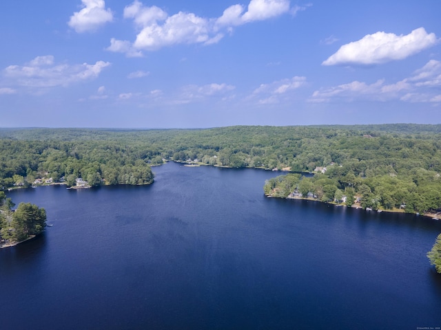 28 Oak Dr, Woodstock, CT 06282 - aerial view of a forest and a large body of water