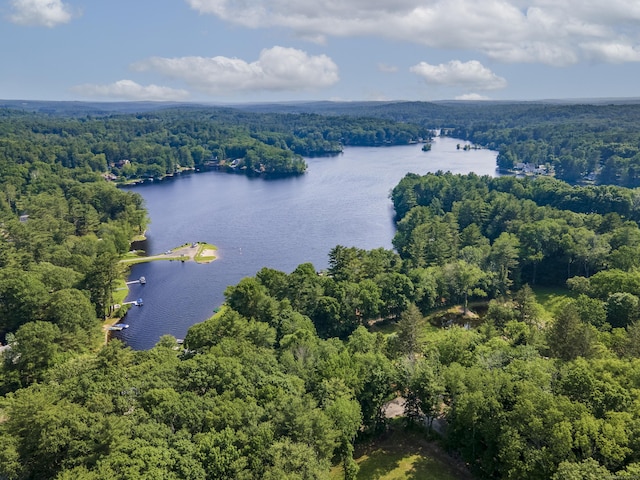 28 Oak Dr, Woodstock, CT 06282 - drone / aerial view of a heavily wooded area and a large body of water