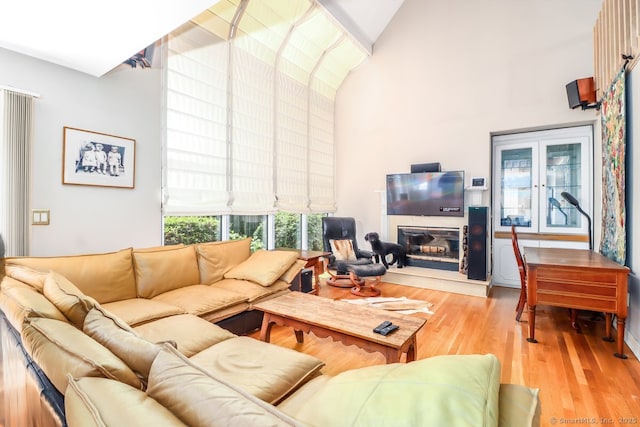 230 New Canaan Ave Apt 2, Norwalk, CT 06850 - living area with high vaulted ceiling, wood finished floors, and a glass covered fireplace