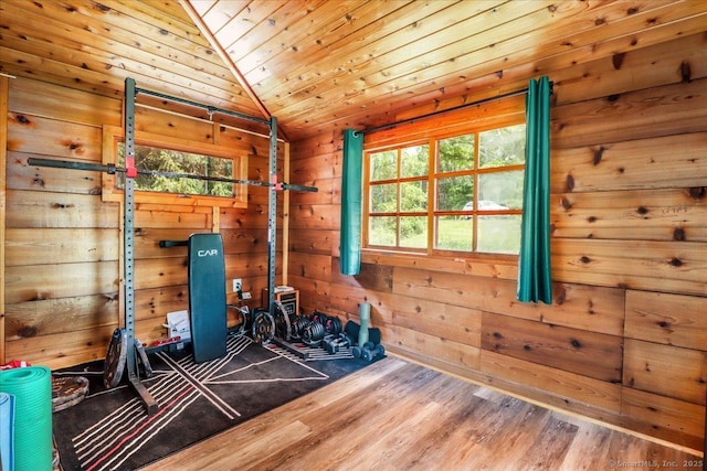 206 Litchfield Tpke, Washington, CT 06777 - workout area with wood finished floors, vaulted ceiling, wooden ceiling, and wood walls