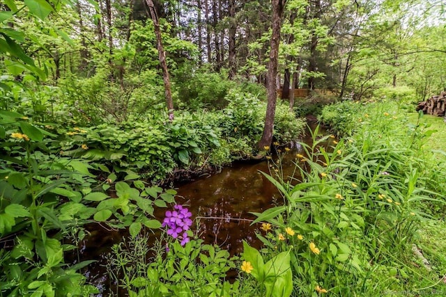 206 Litchfield Tpke, Washington, CT 06777 - view of nature