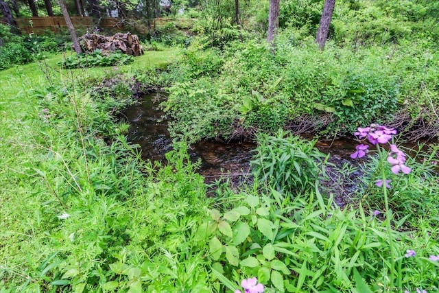 206 Litchfield Tpke, Washington, CT 06777 - view of nature