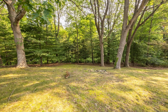 10 Longview Ln, Wallingford, CT 06492 - view of yard with a forest view