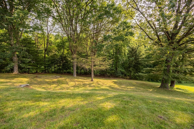 10 Longview Ln, Wallingford, CT 06492 - view of green lawn with a view of trees