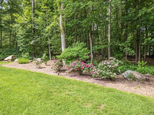 10 Old Kings Hwy, Wilton, CT 06897 - view of grassy yard featuring a view of trees