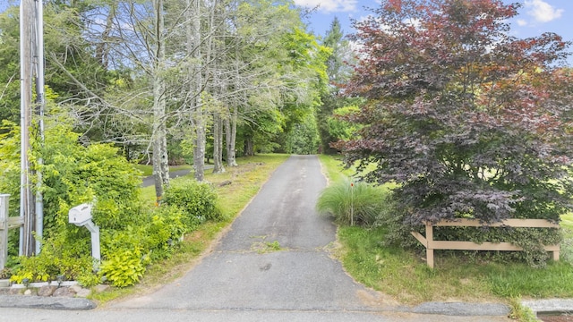 8 Kim Ln, Meriden, CT 06450 - photo 32