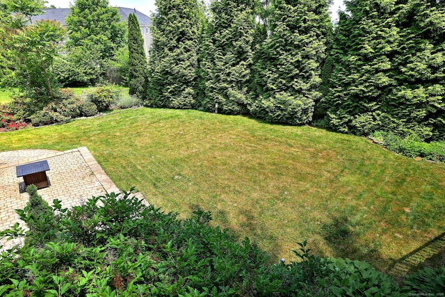 17 Farmstead Ln, West Hartford, CT 06117 - view of grassy yard