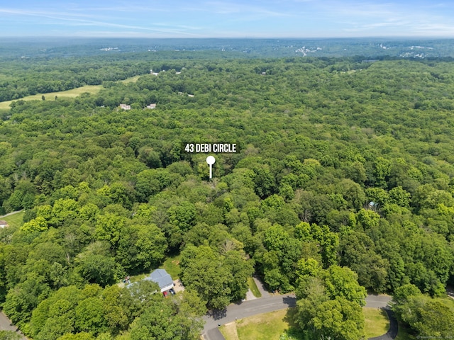 43 Debi Cir, Colchester, CT 06415 - bird's eye view of a forest
