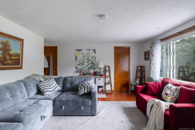 39 Mechanic St, Bristol, CT 06010 - living area with wood finished floors and a textured ceiling