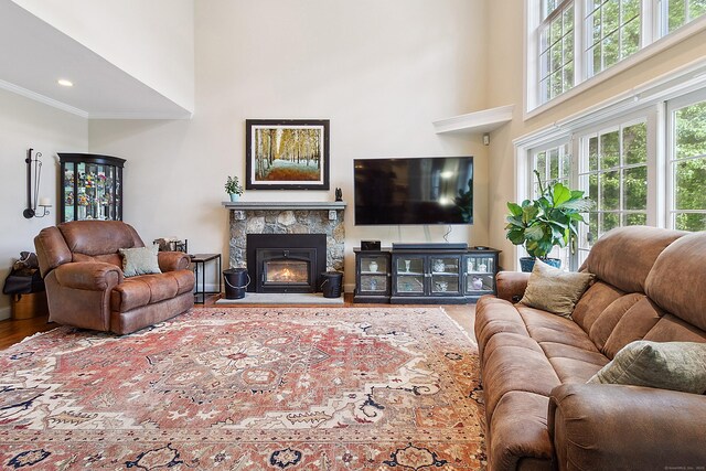 11 Delno Dr, Danbury, CT 06811 - living room featuring a high ceiling, wood finished floors, crown molding, baseboards, and a stone fireplace