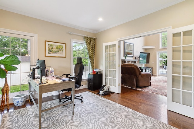 11 Delno Dr, Danbury, CT 06811 - office featuring french doors, crown molding, dark wood finished floors, and recessed lighting