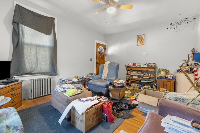 480 W St, Bristol, CT 06010 - living room with radiator heating unit, wood finished floors, and ceiling fan