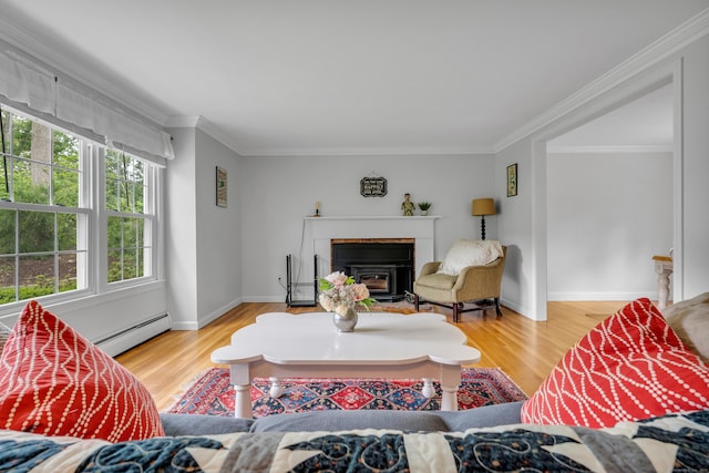 19 W Hills Rd, Essex, CT 06442 - living area with crown molding, wood finished floors, a baseboard radiator, and a glass covered fireplace
