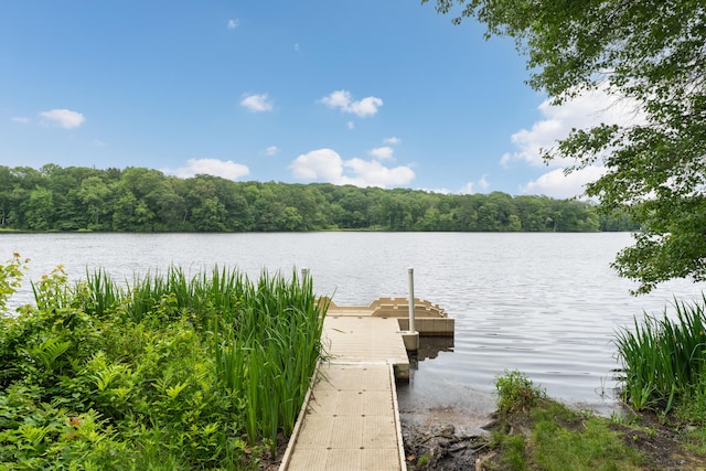 19 W Hills Rd, Essex, CT 06442 - dock featuring a water view and a forest view