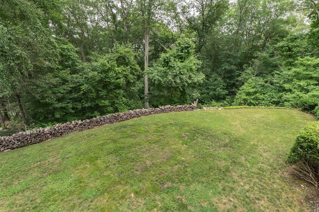 19 W Hills Rd, Essex, CT 06442 - view of green lawn with a wooded view