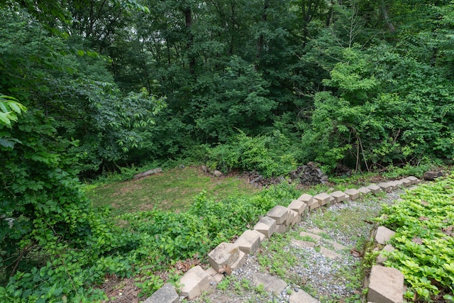 19 W Hills Rd, Essex, CT 06442 - view of yard featuring a view of trees