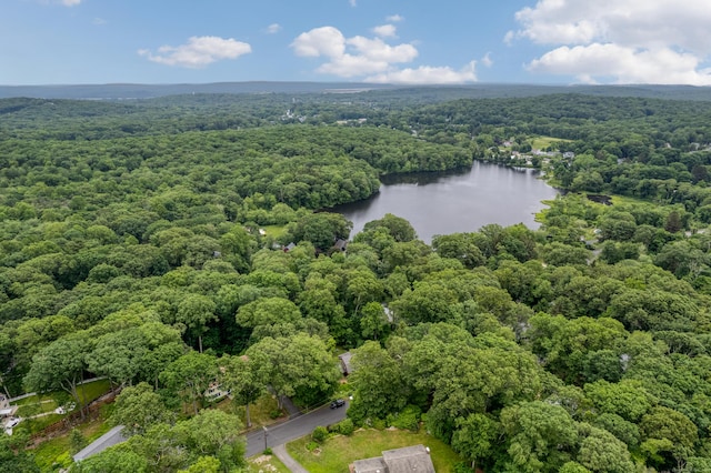 19 W Hills Rd, Essex, CT 06442 - drone / aerial view of a heavily wooded area and a large body of water