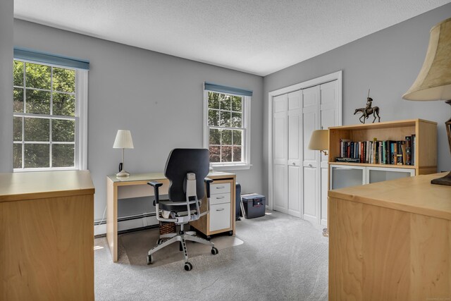 35 Whitethorn Dr, Guilford, CT 06437 - home office with carpet, a textured ceiling, and a baseboard radiator
