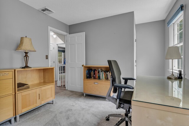 35 Whitethorn Dr, Guilford, CT 06437 - view of carpeted office